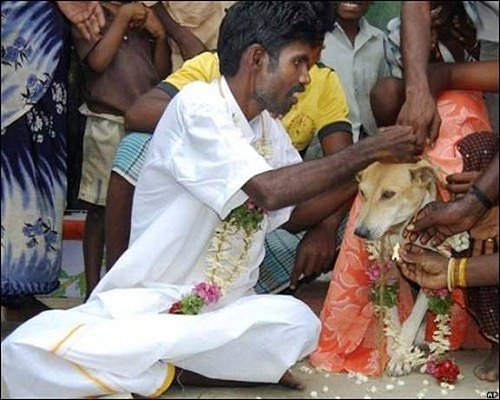 Funny_Pics_From_India_1.jpg