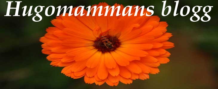 Hugomammans blogg