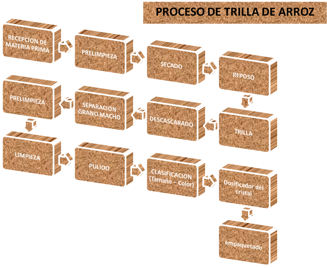 PROCESO DE TRILLA DE ARROZ