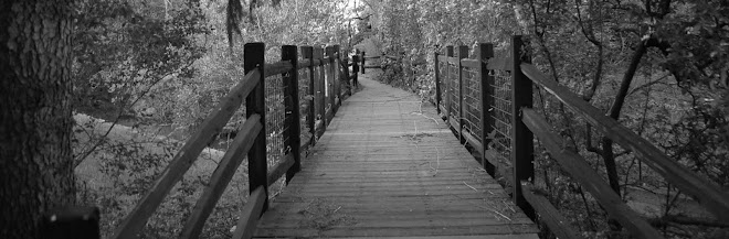 A Walk Across A Bridge