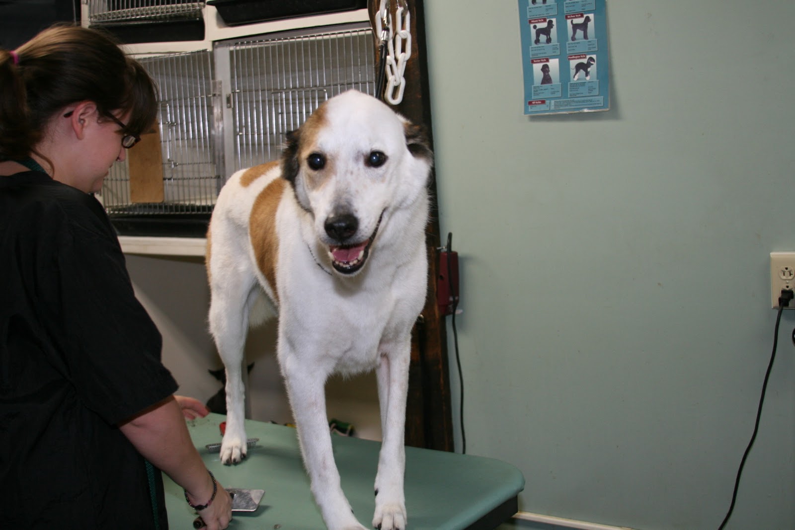 Best Friends Avon GROOMING!!