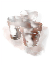 Flower Pots