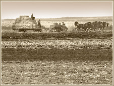 Farming in Pennsylvania Dutch Country