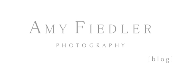 Amy Fiedler Photography