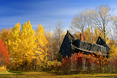 [Image: Autumn-wallpaper-III2.png]