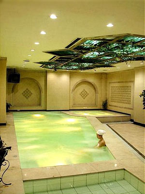 [hotel+shenyang+piscine.jpg]