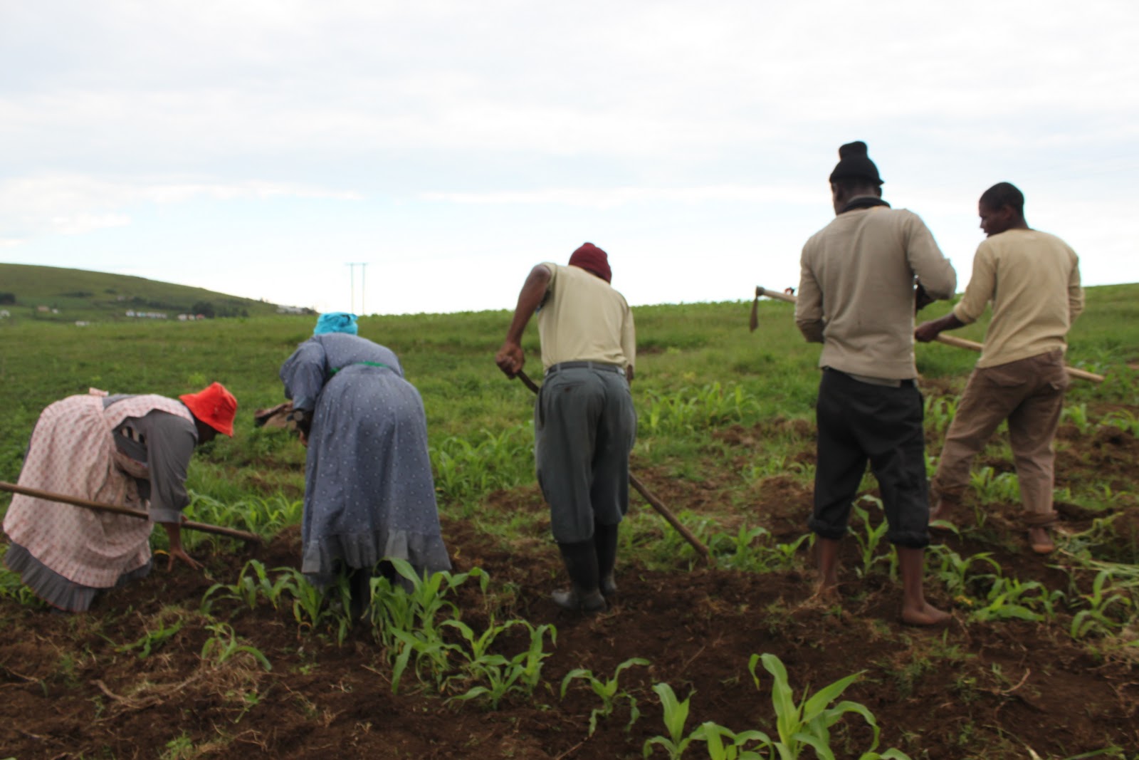 Building rural sustainability in South Africa Farming Friction
