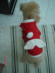X'mas wEaR rm 29.90