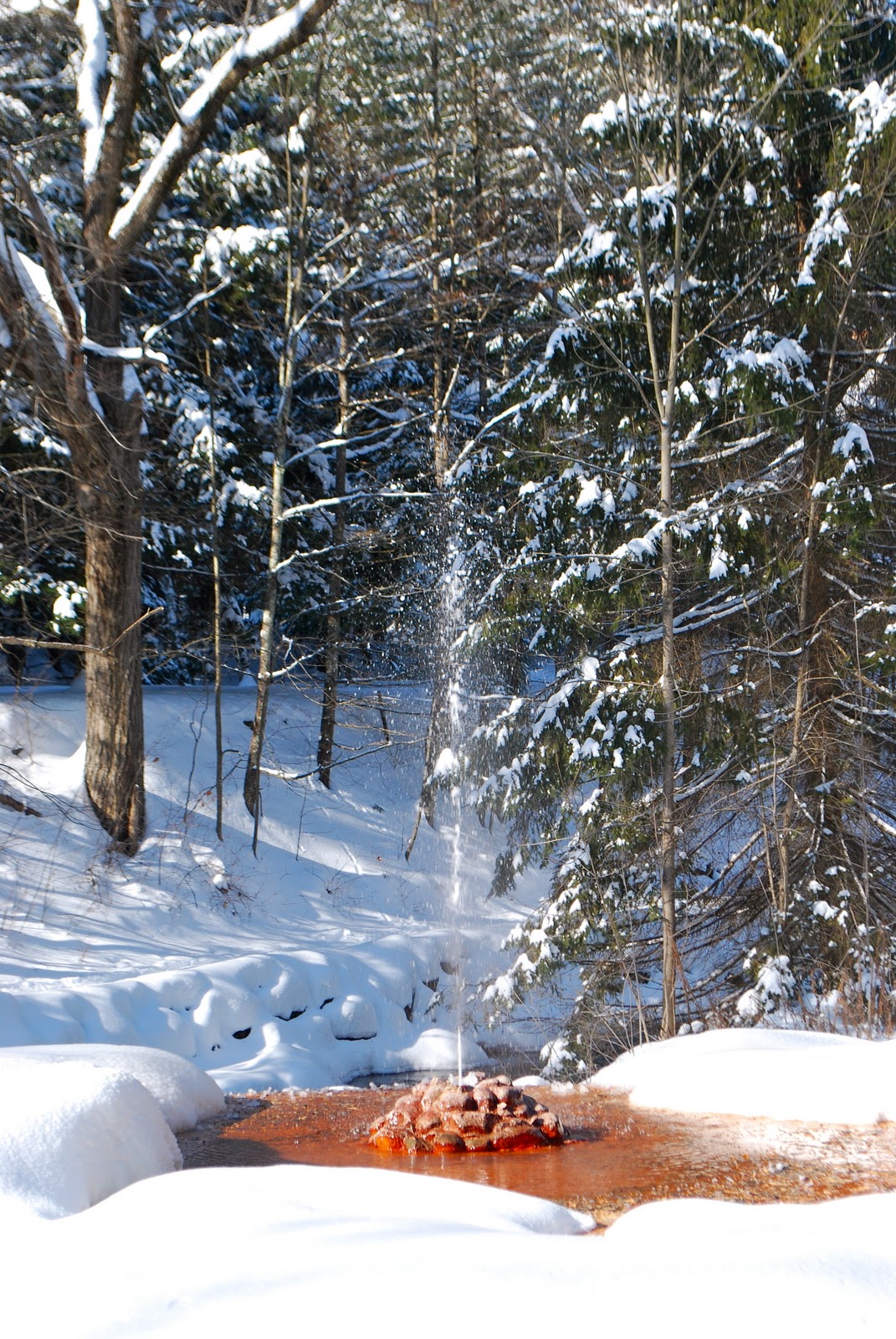 DelSo Skiing Saratoga Spa State Park