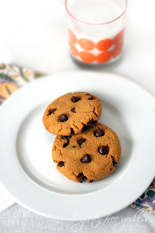 Gluten-free pumpkin chocolate chip cookies... with peanut butter!