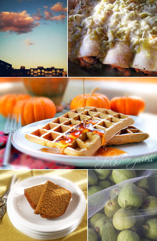 Gluten and yeast free bread recipes