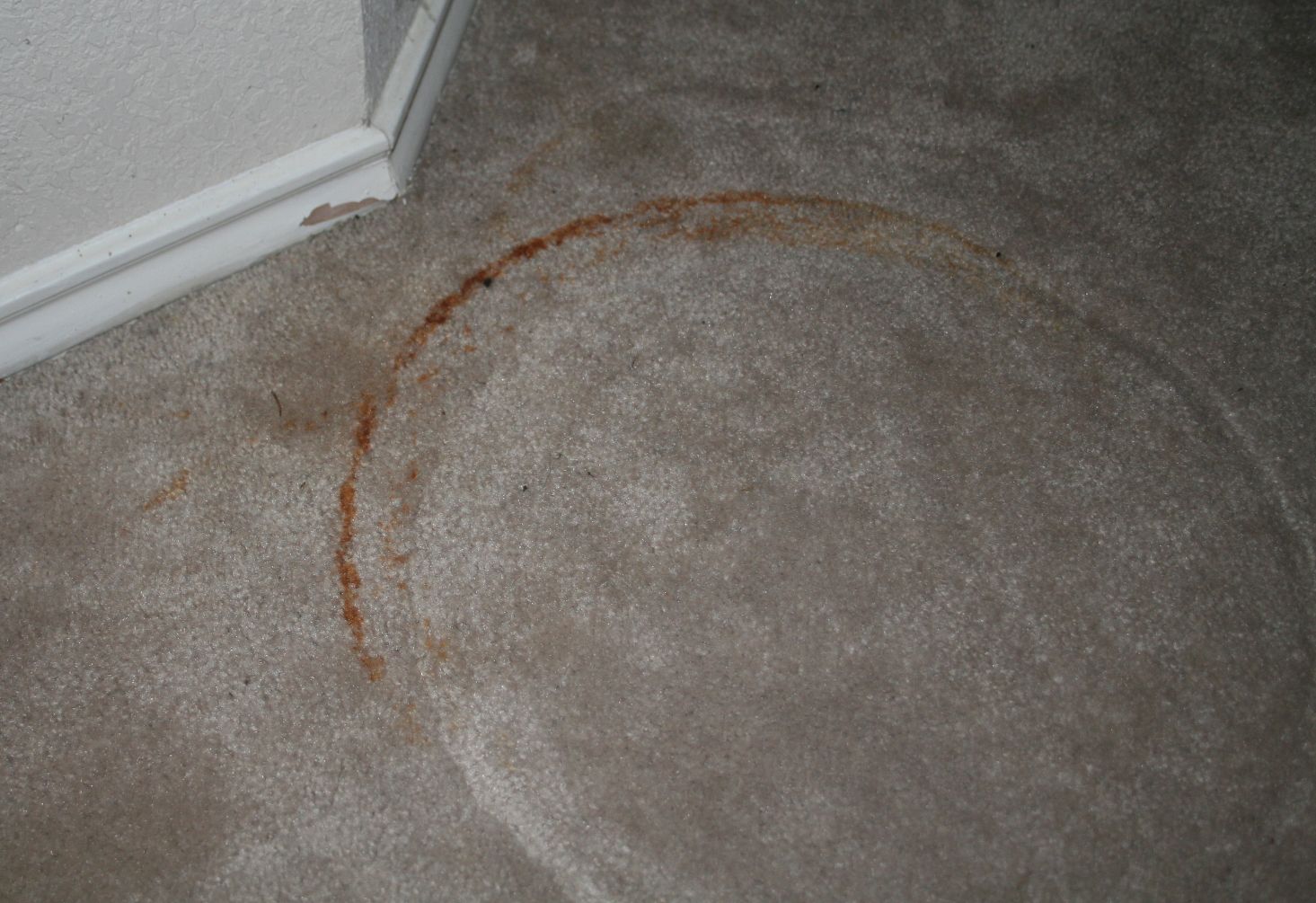 [LR+carpet,+rust,+before.jpg]