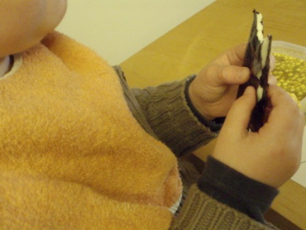 [after+eight+nori.JPG]