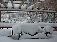snowbound back deck, Feb 2010 storm in Fairport
