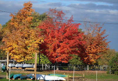 fall foliage and boats, Erie Canal at Fairport NY (c)2008 jcb
