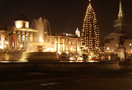 [TrafalgarSqtree.jpg]