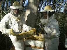 Alumnos cosechando miel