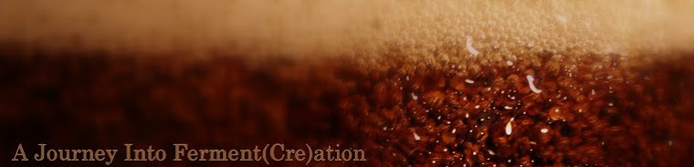 A Journey Into Ferment(Cre)ation