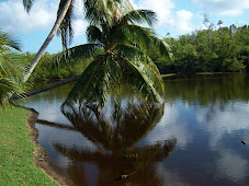 Action Resources Center - Hypnosis