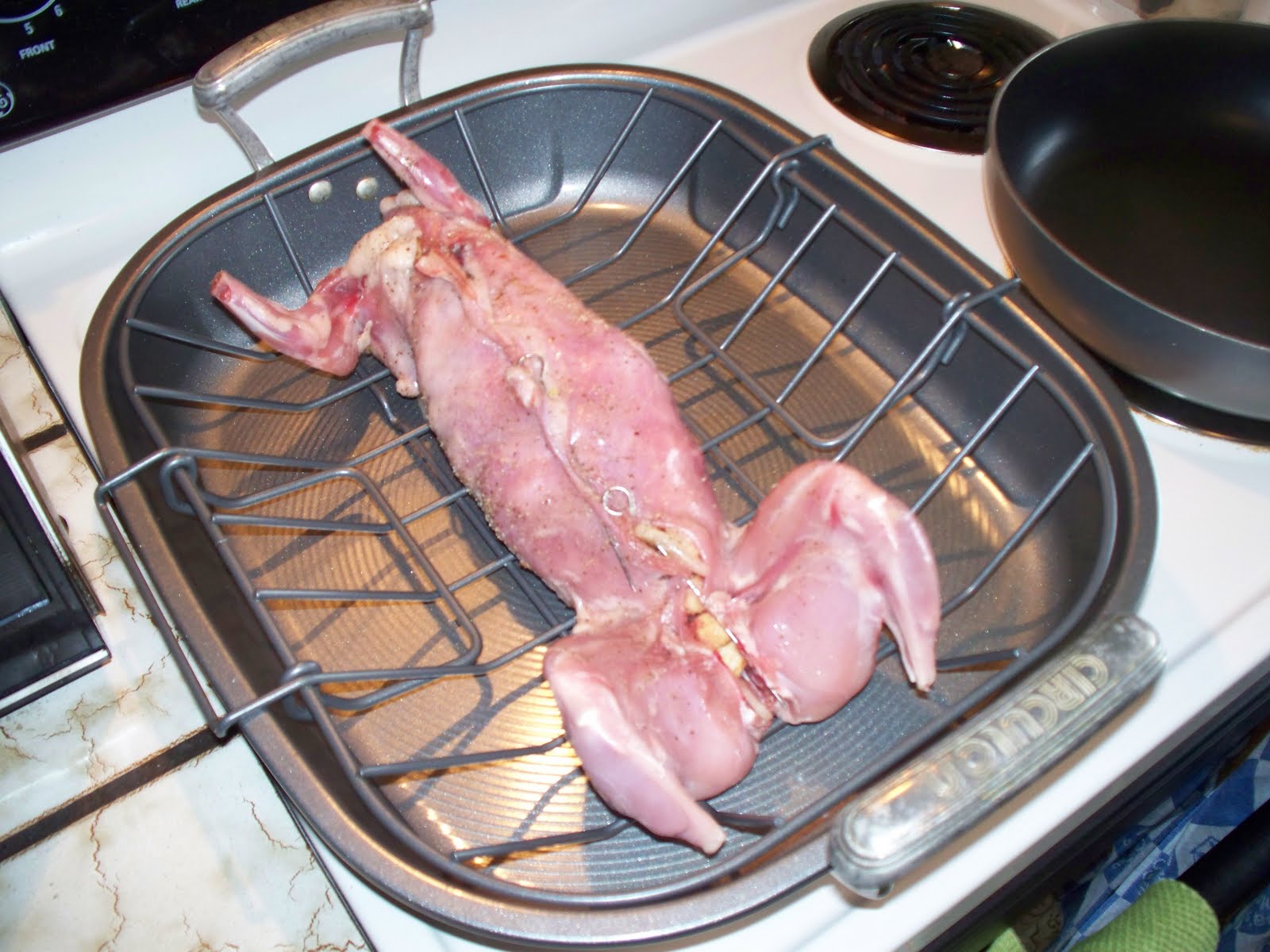 New Mom's Cookbook Roasted Rabbit with Sangria Sauce