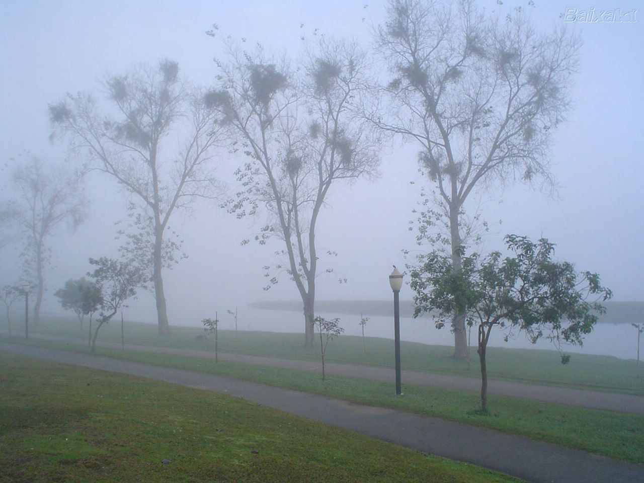 DIVERSIDADES INVERNO