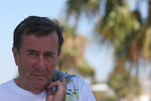 Eckhart Schmidt Portrait