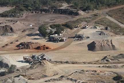 Ella Bay Forever: Rare Golden sleepy cod threatened by TERM sand mining ...
