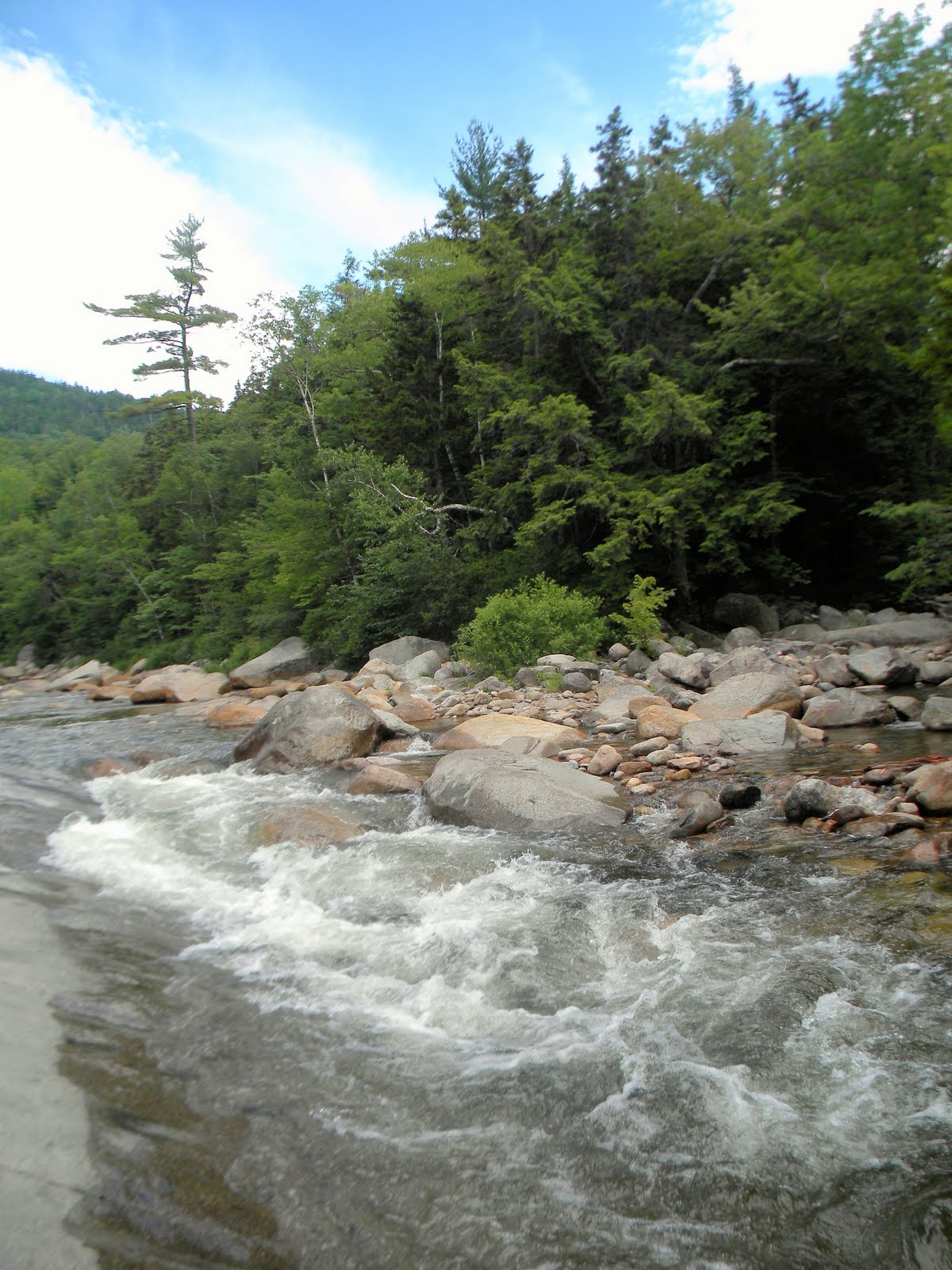 swiftwater river