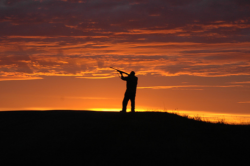 [257463753_dfa7e4f2ff.jpg]