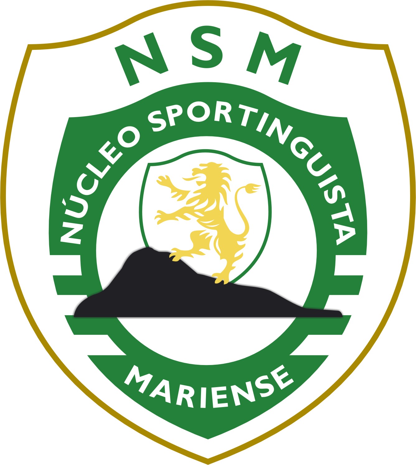 [LOGO_NSM.jpg]