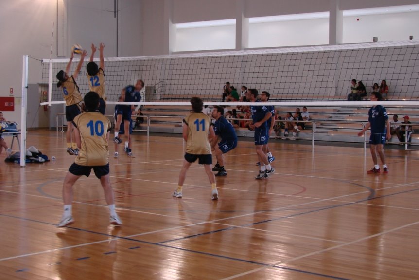 [DSC02959.JPG]
