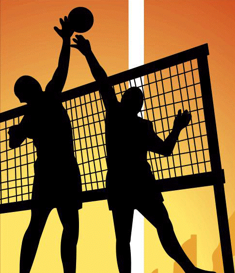[volei.gif]