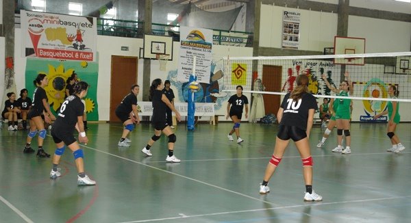 [DSC03127.JPG]