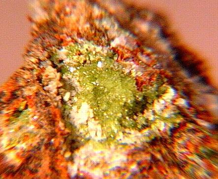 [Nickeloan+Adamite12.JPG]