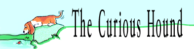 The Curious Selling Hound