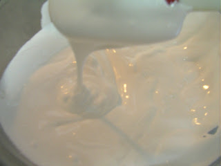 SANY0084.JPG