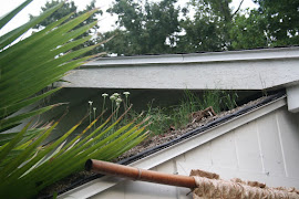 Sloped Green Roof Florida