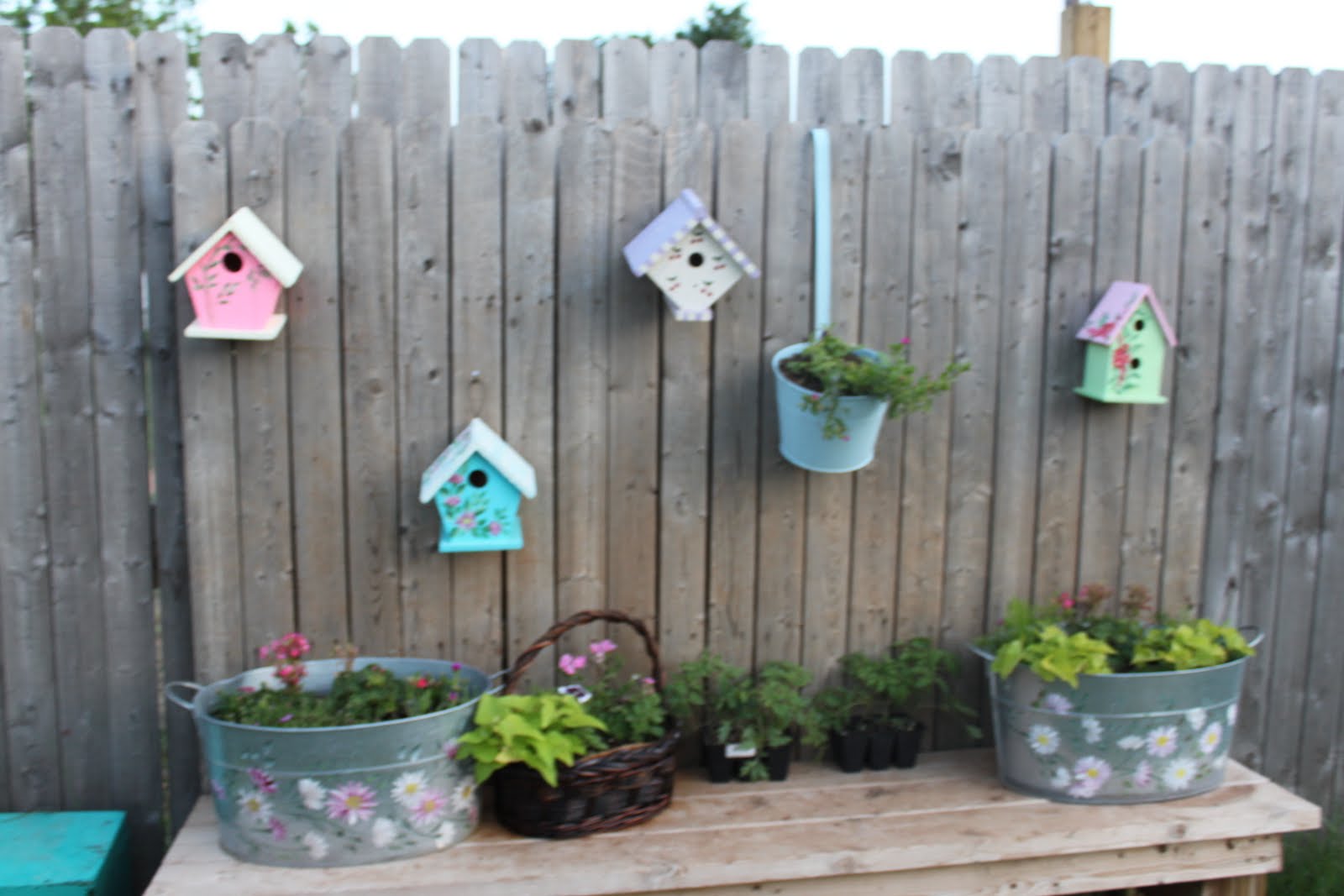 The Norman Five Birdhouses on the fence.