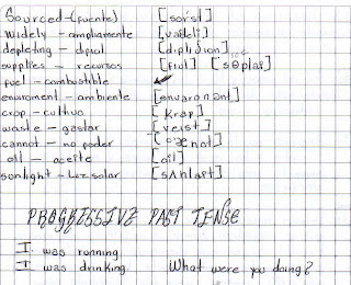 ENGLISH: VOCABULARY AND PROGRESSIVE PAST TENSE