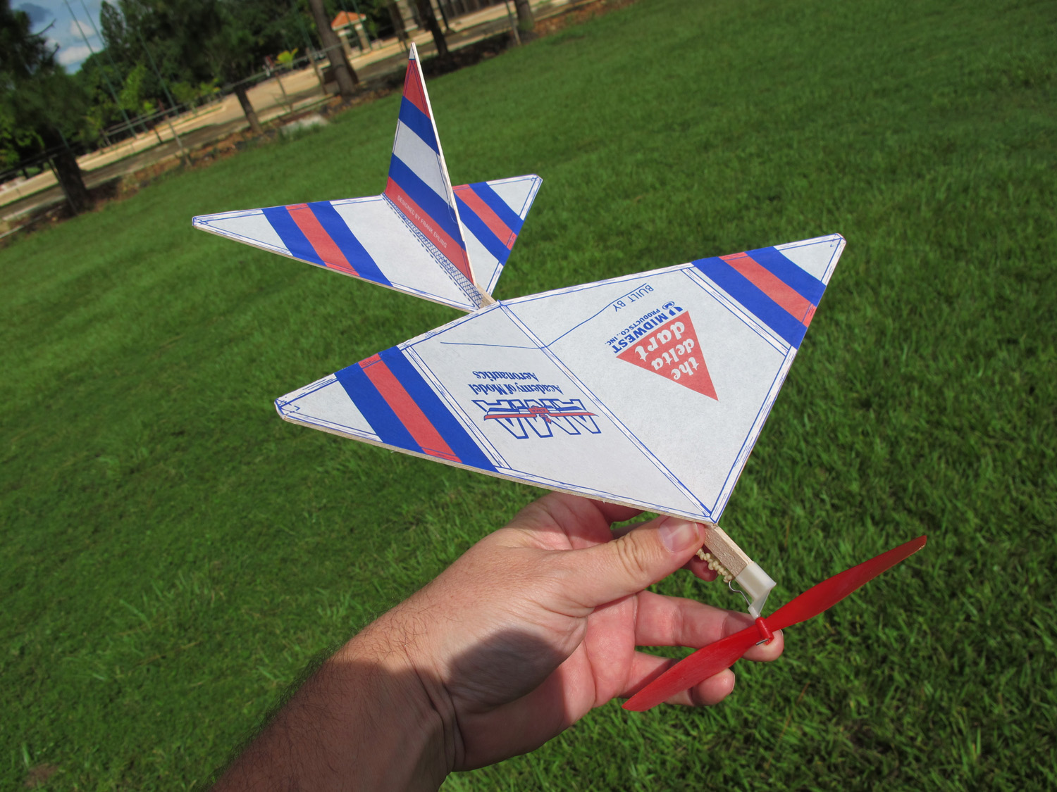 This is Mimbres Man Things That Fly the Delta Dart