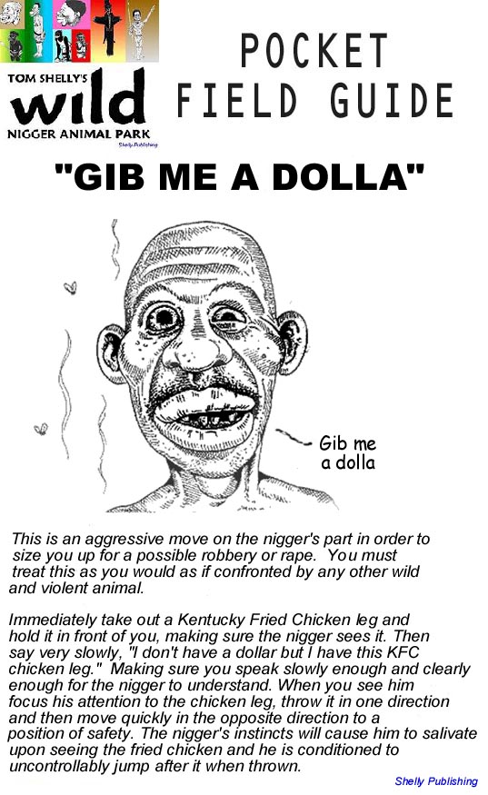 [fieldguidegibmeadolla.jpg]