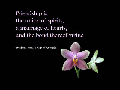 quotes on trust and friendship. friends quotes wallpapers