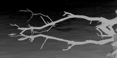 [banhosdecinza_032.jpg]