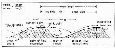 Geologi Indonesia: Ripple Mark