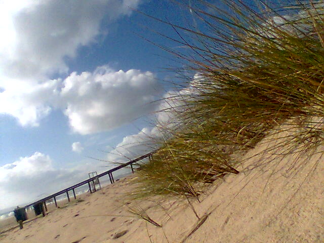 [alvor_27.12.08.jpg]