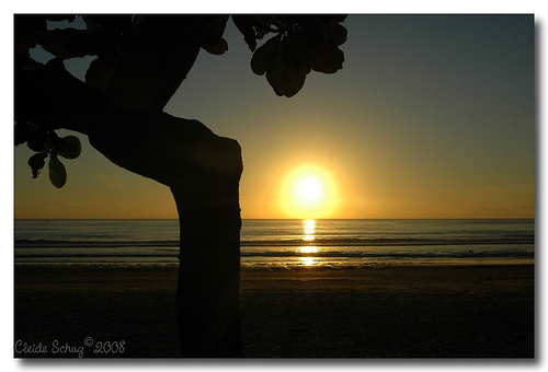 [amanhecer02.jpg]