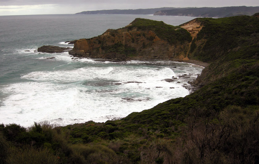 The Great Cretaceous Walk: Return to Dinosaur Cove
