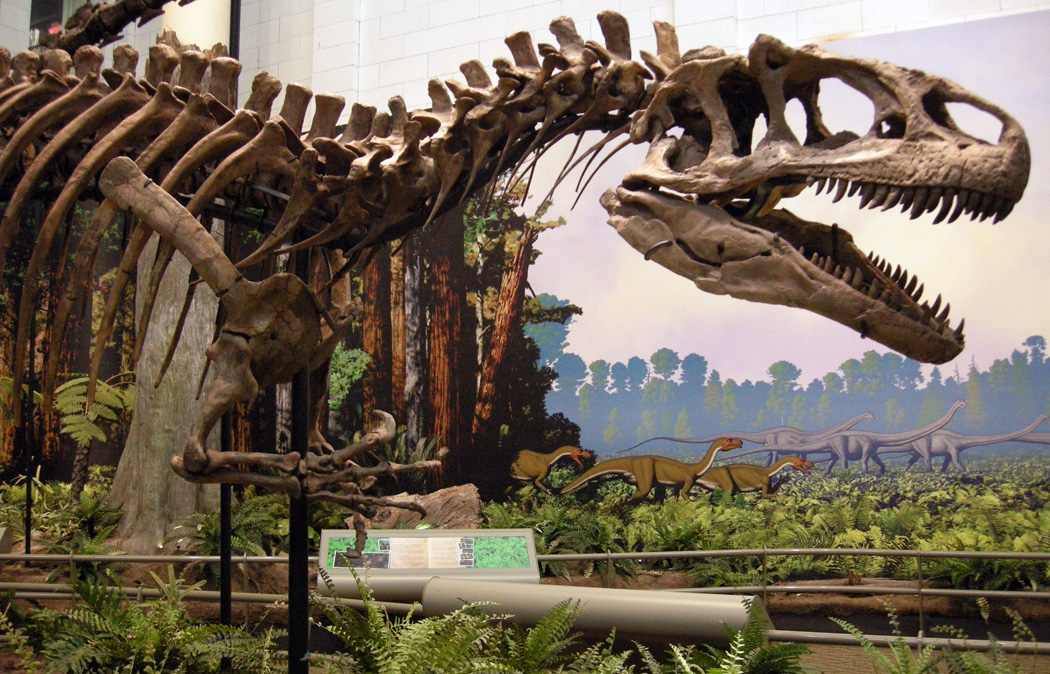 the australian age of dinosaurs