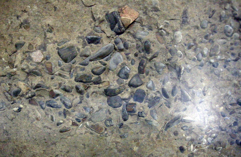 The Great Cretaceous Walk Why Eat a Rock? Gastroliths (‘Stomach Stones