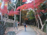 ゴール地点、龍野公園、紅葉谷の紅葉